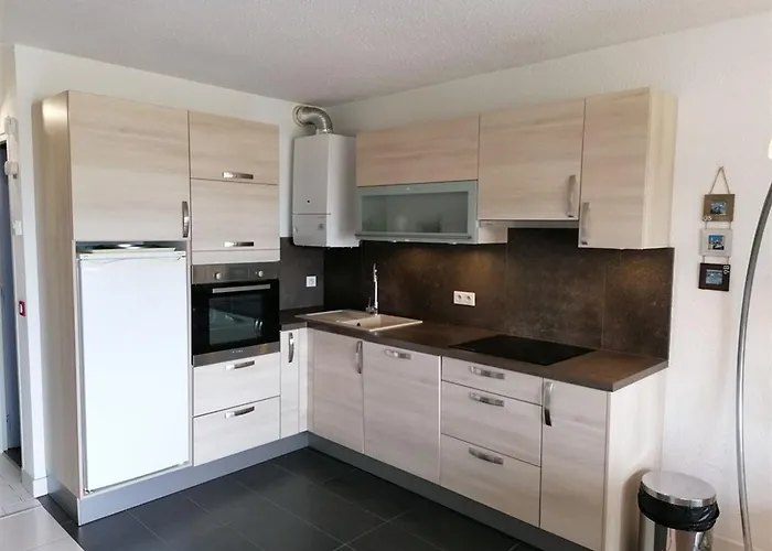 2 Pieces Avec Terrasse A 500m Des Commerces, Parking Prive - Fr-1-731-100 Apartment Le Grau-du-Roi